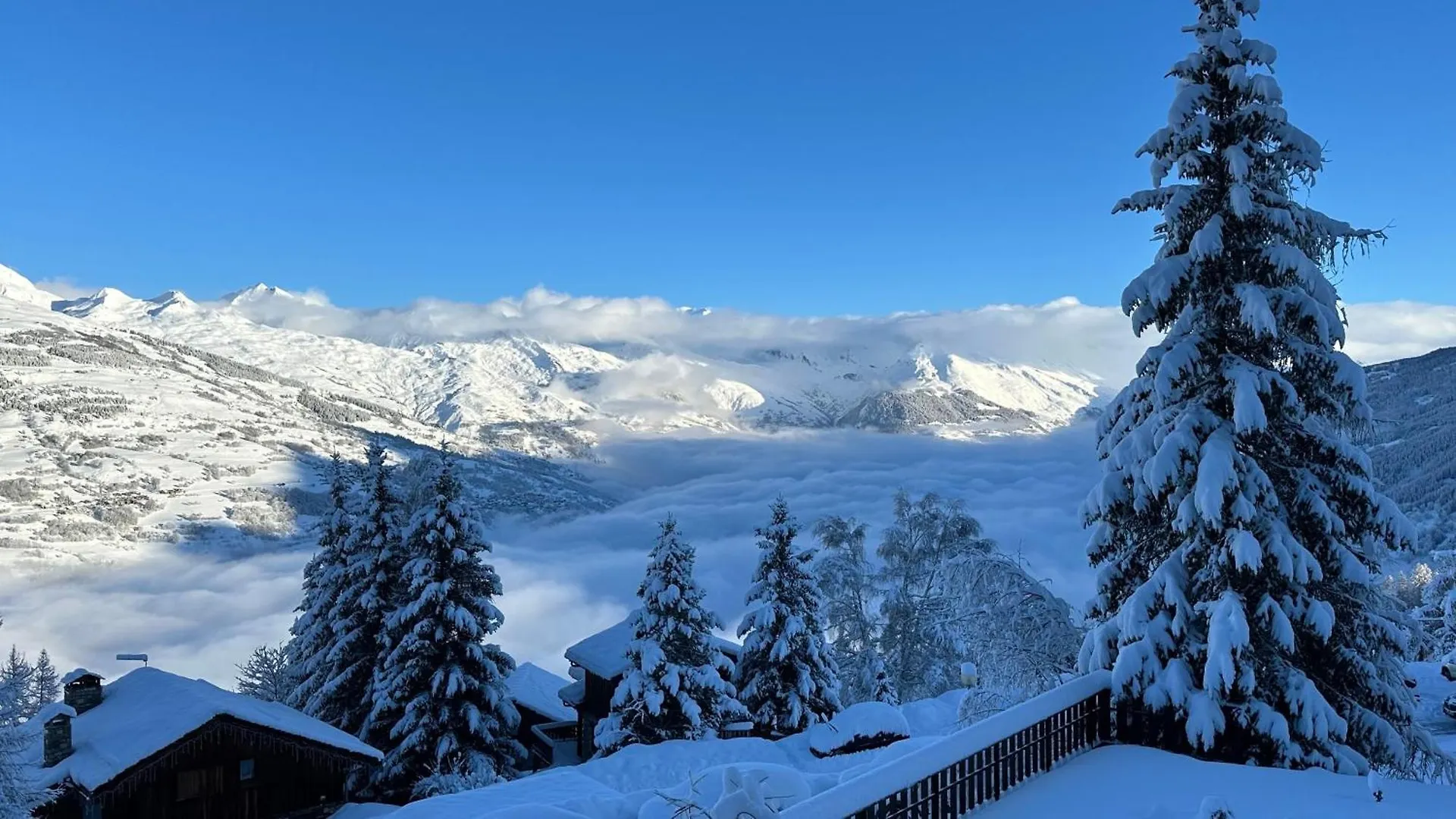 Les Verdons - Chalet Bellevue Domaine La Plagne Macot-la-Plagne Apartment
